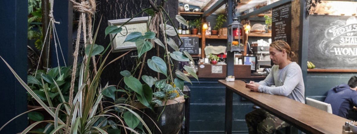 ブルックリンの隠れ家的レストラン：House Of Small Wonder(Now Closed)