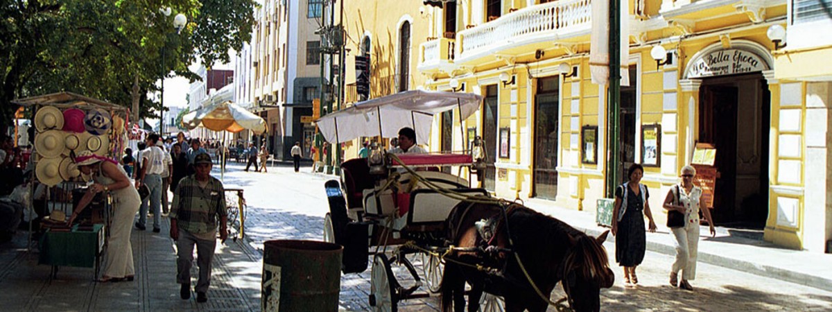 メキシコ・メリダ　美しきマヤ遺跡の街