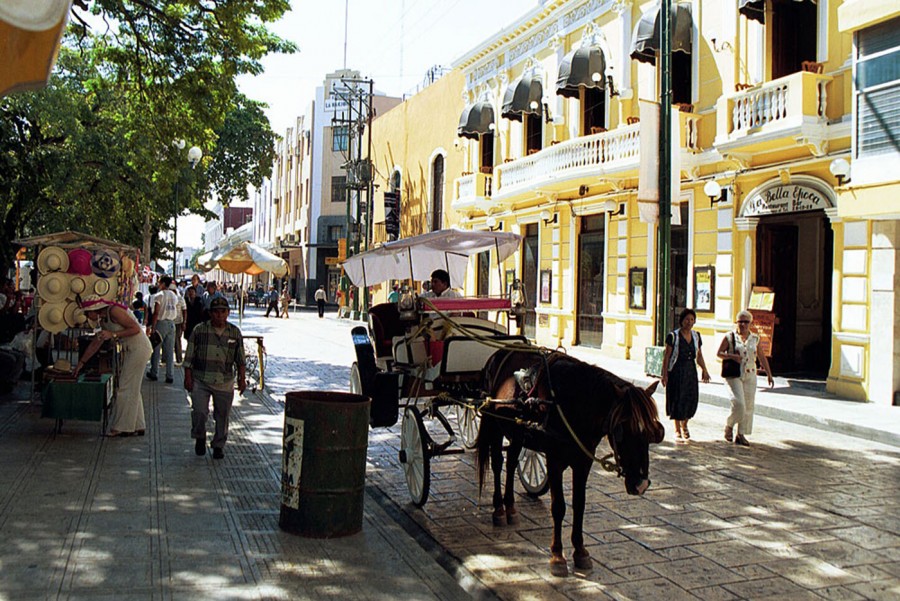 メキシコ・メリダ　美しきマヤ遺跡の街