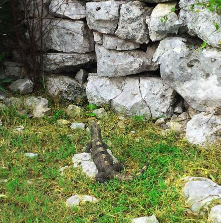 Photo By Mai : Tulum