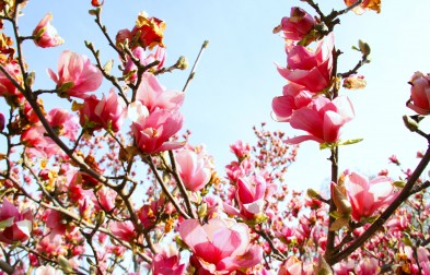 SPRING IS HERE♡